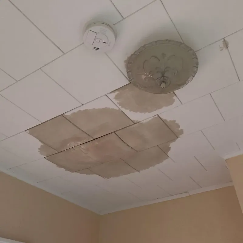 Ceiling Water Damage Repair in Webster County, MS