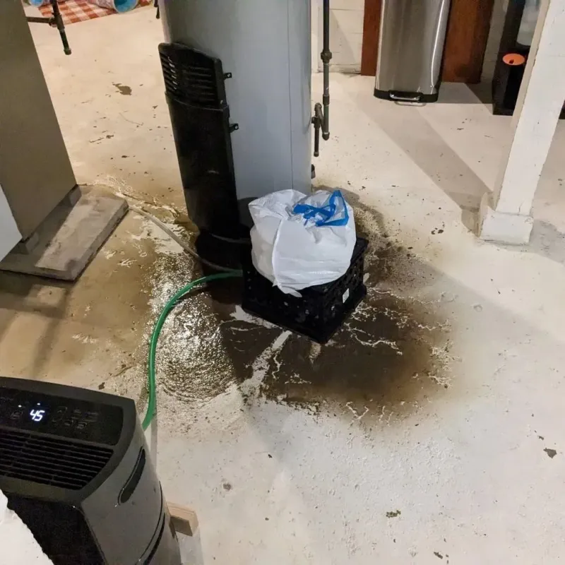 Sewage Backup Cleanup Service in Webster County, MS